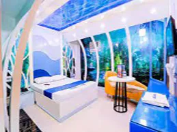 Delhi Dream Rooms Hotel Escorts